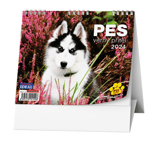 Kalendář stolní týdenní Pes věrný přítel BSL7